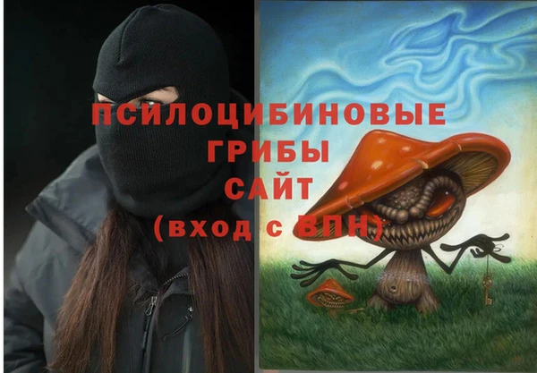 кокаин Белокуриха