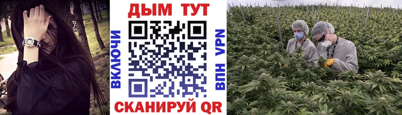 Конопля сатива  цены   Горнозаводск 